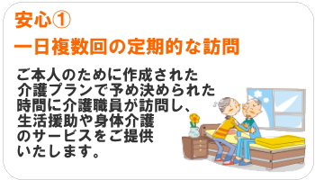 一日複数回の定期的な訪問